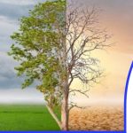 UN RECIT POUR LE CLIMAT : amplifier la voix des communautés vulnérables