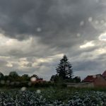 Météo du vendredi 2 février 2024