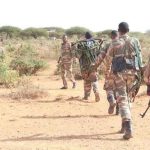 Somalie : 20 membres d&rsquo;al-Shabab tués lors d&rsquo;opérations militaires