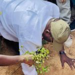 « Journée Nationale de l&rsquo;Arbre et Initiative Citoyenne : Matar Bâ et Fatick s&rsquo;Engagent pour le Reboisement et le Développement Durable »