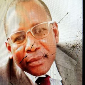 « LA VISION SÉNÉGAL » | (Par Cyril Padé)