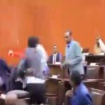Deux députés se battent violemment au parlement (vidéo)