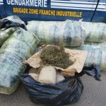 Lutte contre le trafic de stupéfiants : Arrestation de sept suspects et saisie d’armes à Ouakam et Yarakh