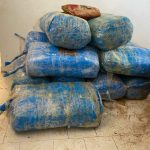 Démantèlement d&rsquo;un réseau de trafic de drogue à Dakar : Une saisie record de 277,5 kg de chanvre