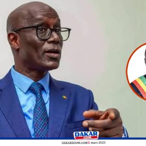 « L’interprétation de la farce » | Par Thierno Alassane Sall