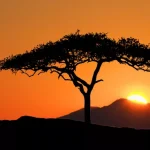 Météo Sénégal : Dissipation de la poussière et temps sec ce jeudi 19 février 2026