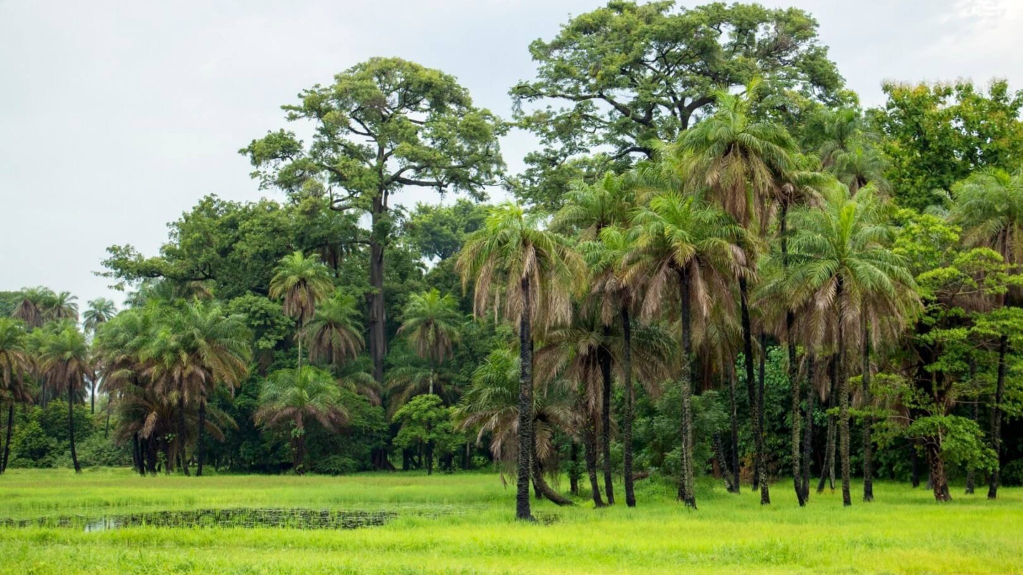 Météo du Sénégal – Mardi 11 novembre 2025 : chaleur modérée, ciel nuageux sur l’ensemble du pays