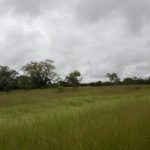 🌦️ Météo Sénégal : chaleur et temps stable sur l’ensemble du pays ce mercredi 21 janvier 2026